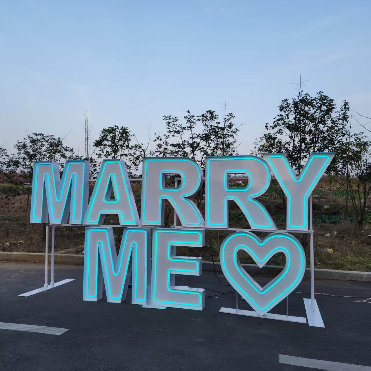 MARRY ME Metalen RGB LED Neonr - Wedding Party Supply Rentals recensie en prijs