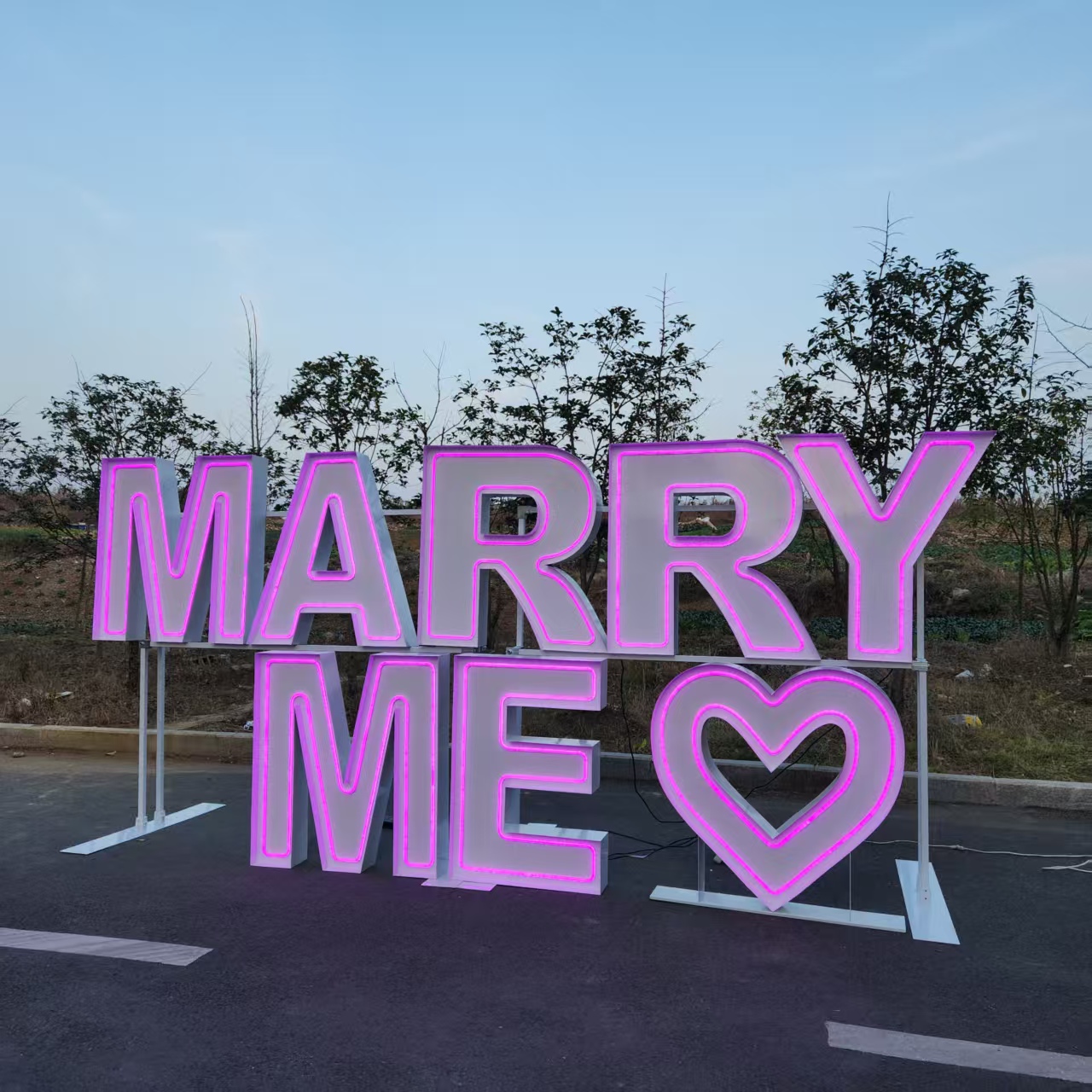 MARRY ME Metalen RGB LED Neonr - Wedding Party Supply Rentals recensie en prijs