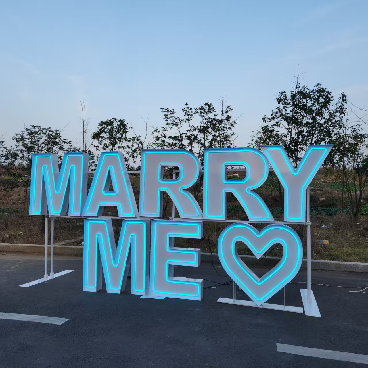 MARRY ME Metalen RGB LED Neonr - Wedding Party Supply Rentals recensie en prijs
